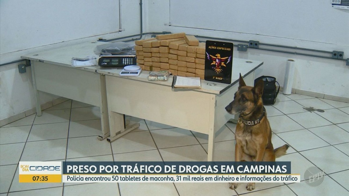 Polícia Militar apreende tijolos de maconha R 31 mil e prende homem