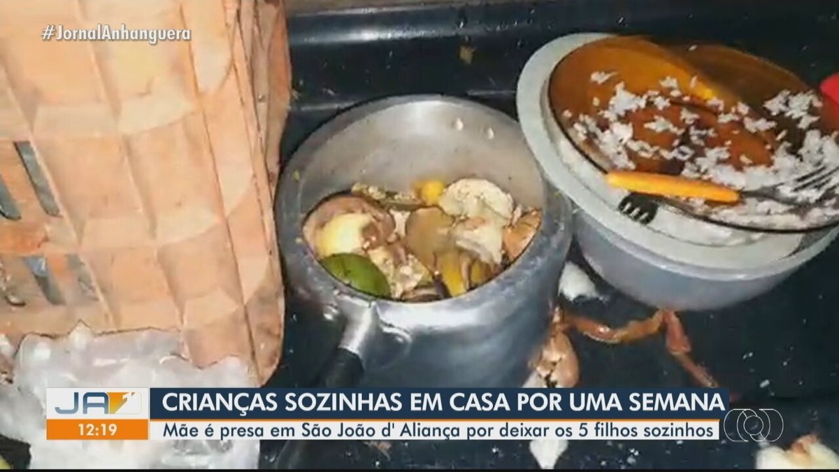 Cinco crianças são deixadas sozinhas em casa por uma semana e relatam