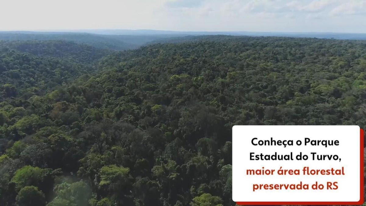 Conheça o Parque Estadual do Turvo maior área florestal preservada do