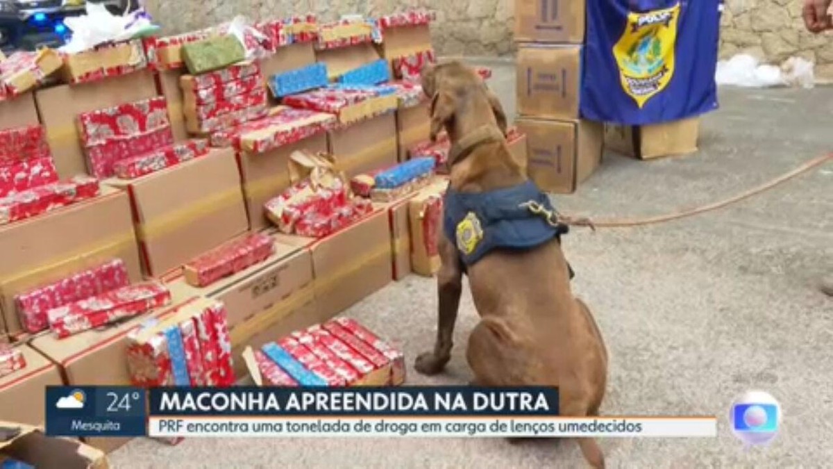 Prf Apreende Tonelada De Maconha Escondida Em Carga De Len Os