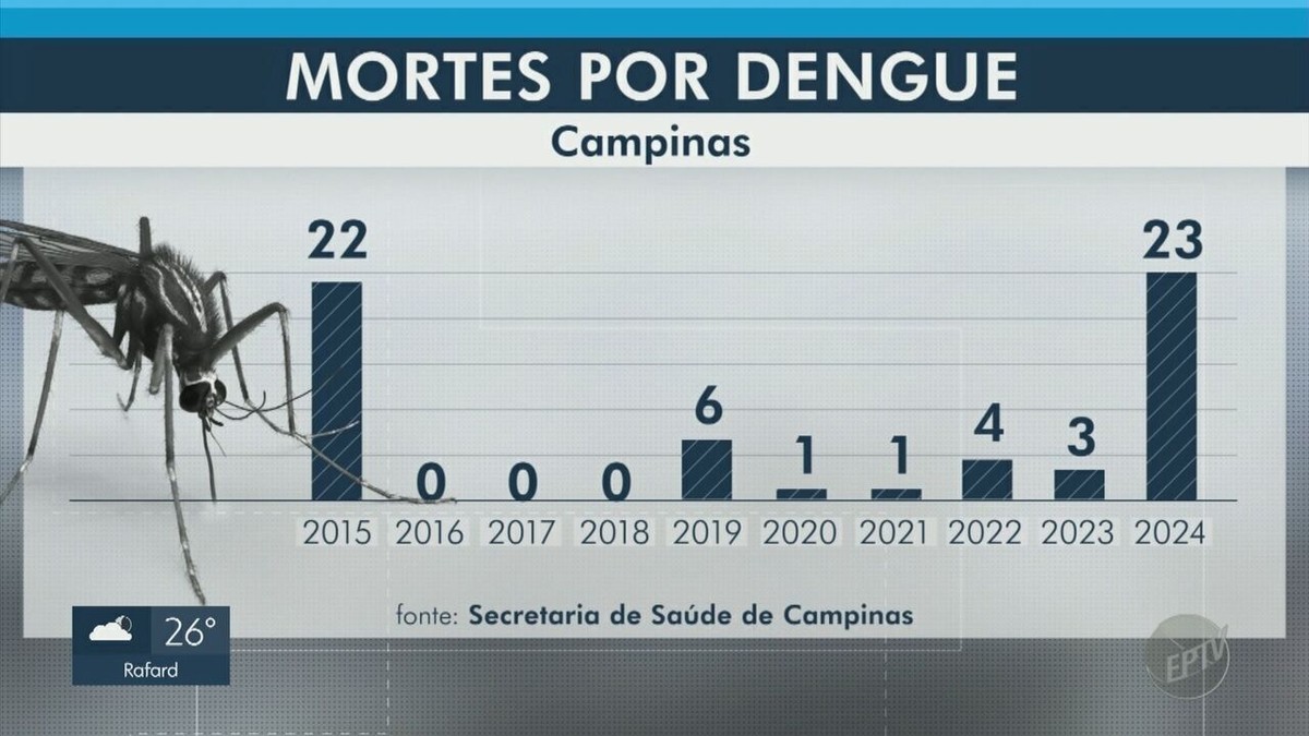 23 Mortes Por Dengue Campinas Atinge Em 2024 O Maior Patamar Da