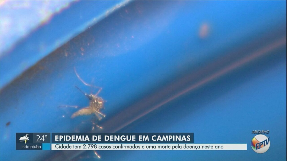 Entenda Por Que Campinas Est Em Epidemia De Dengue O Que Muda E Quais