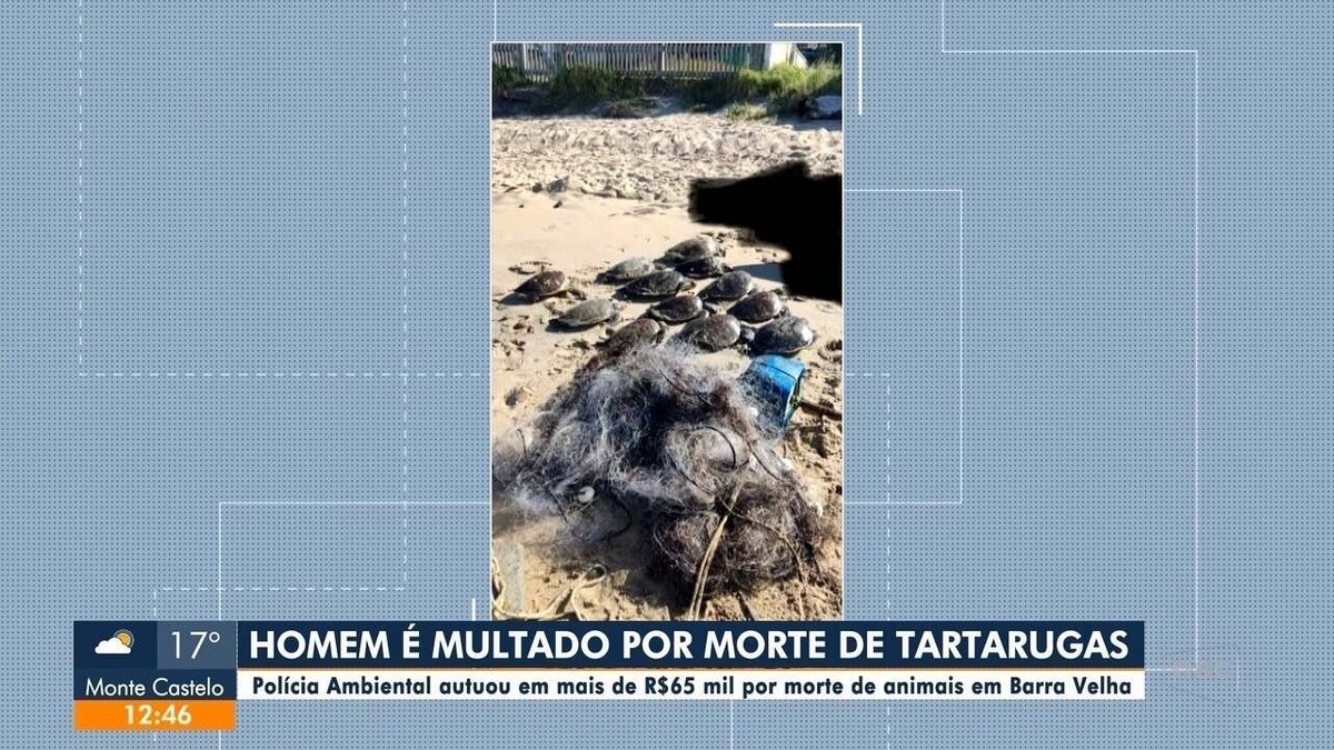 Pescador apontado por causar morte de 12 tartarugas é multado em R 65