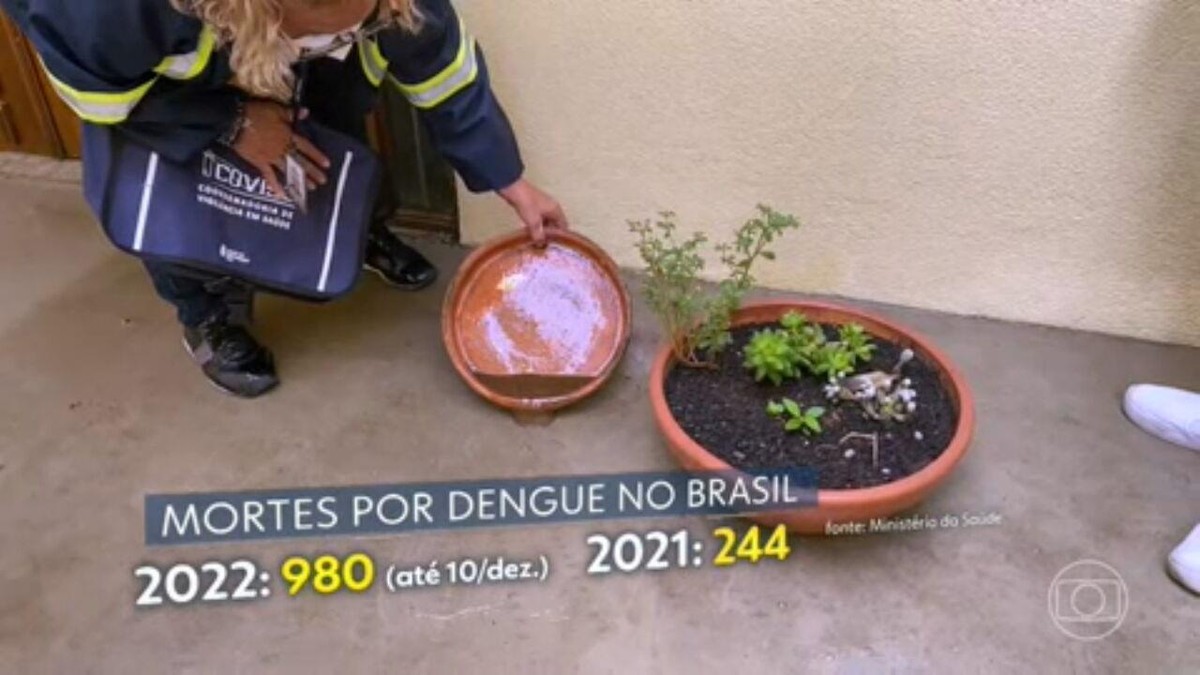 Número de mortes por dengue quadruplica no Brasil em 2022 Jornal