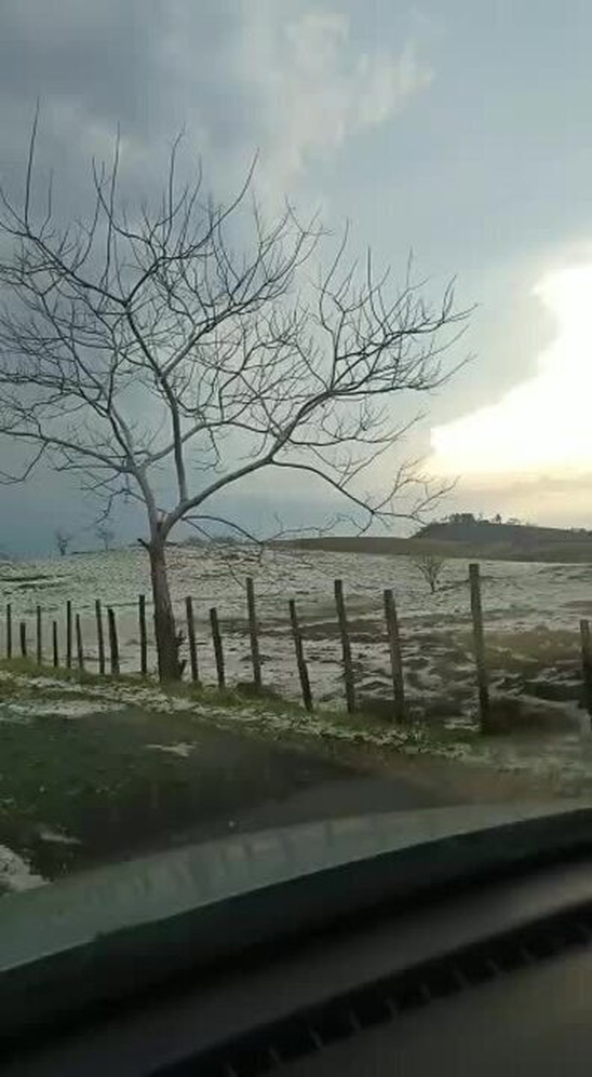 VÍDEOS chuva de gelo impressiona moradores de MG e viraliza nas