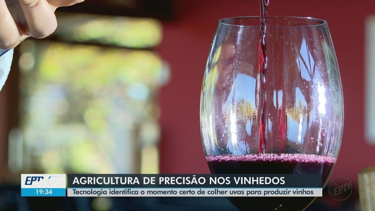 Embrapa leva agricultura de precisão ao cultivo de uva e possibilita