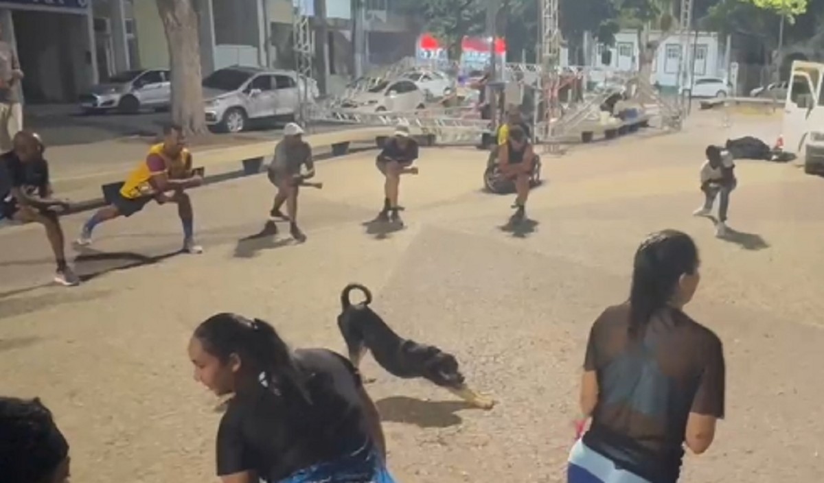Vira-lata 'invade' treino de corredor queniano e participa de alongamento em MG; VÍDEO