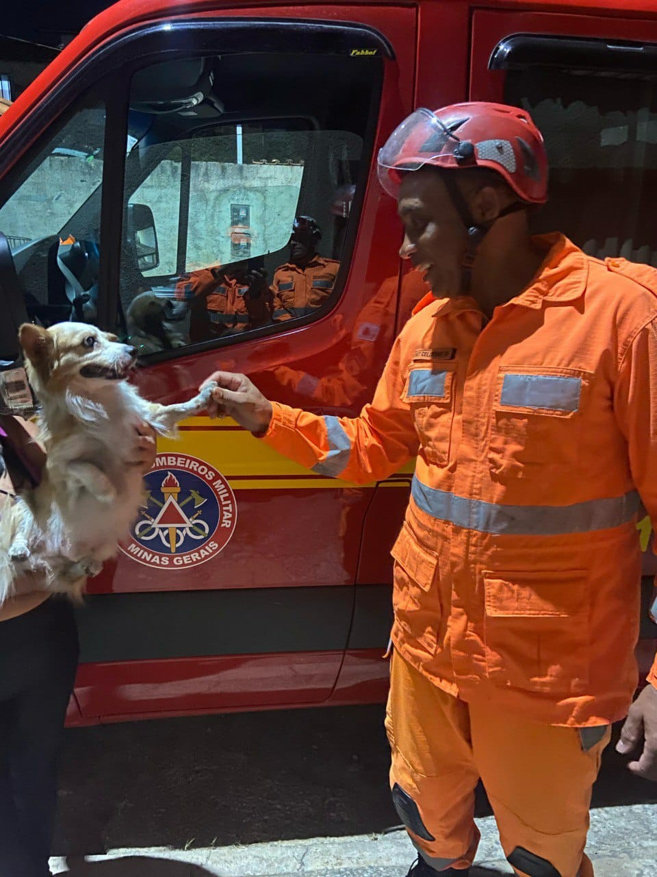 Final feliz: cão reencontra bombeiro que o resgatou e 'agradece'