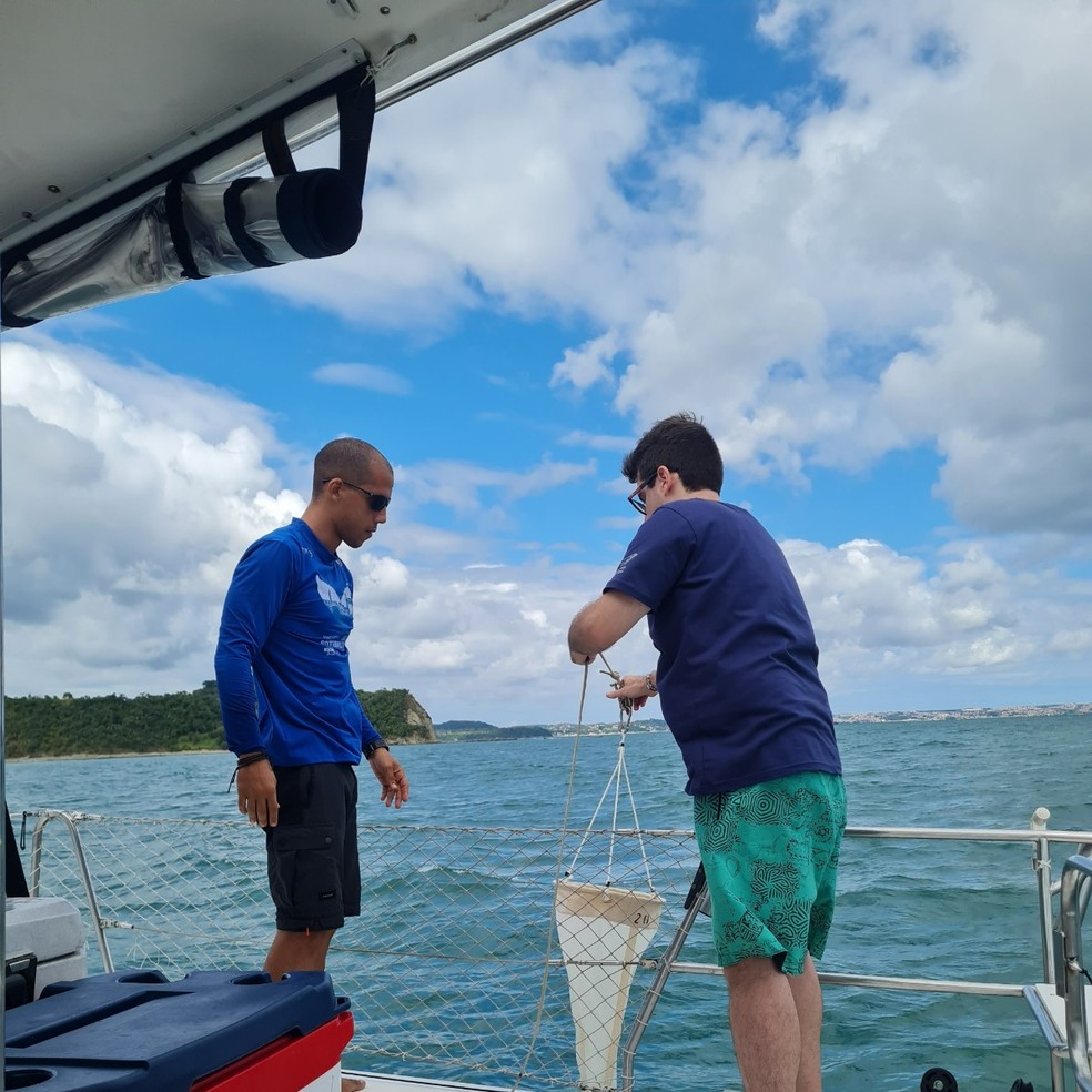 Expedição pela costa baiana encontrou microplásticos no Parque Marinho de Abrolhos — Foto: Instituto Redemar Brasil
