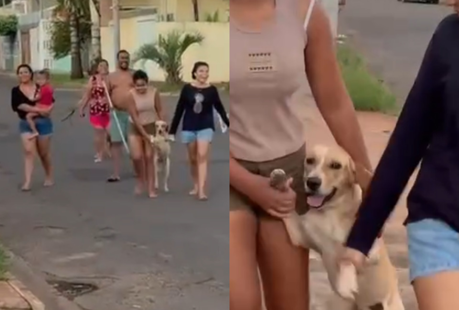 Mutirão: fuga de cachorro vira ‘evento familiar’ e rende vídeo viral em Campo Grande