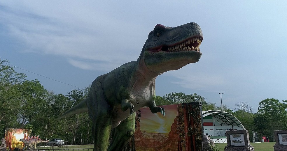 Praça vira 'Vale dos Dinossauros' e exposição gratuita atrai curiosidade  com réplicas dos animais em MT, Mato Grosso