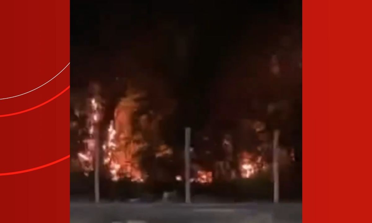 Incêndio atinge área de vegetação no bairro Dom Pedro, em Manaus; VÍDEO