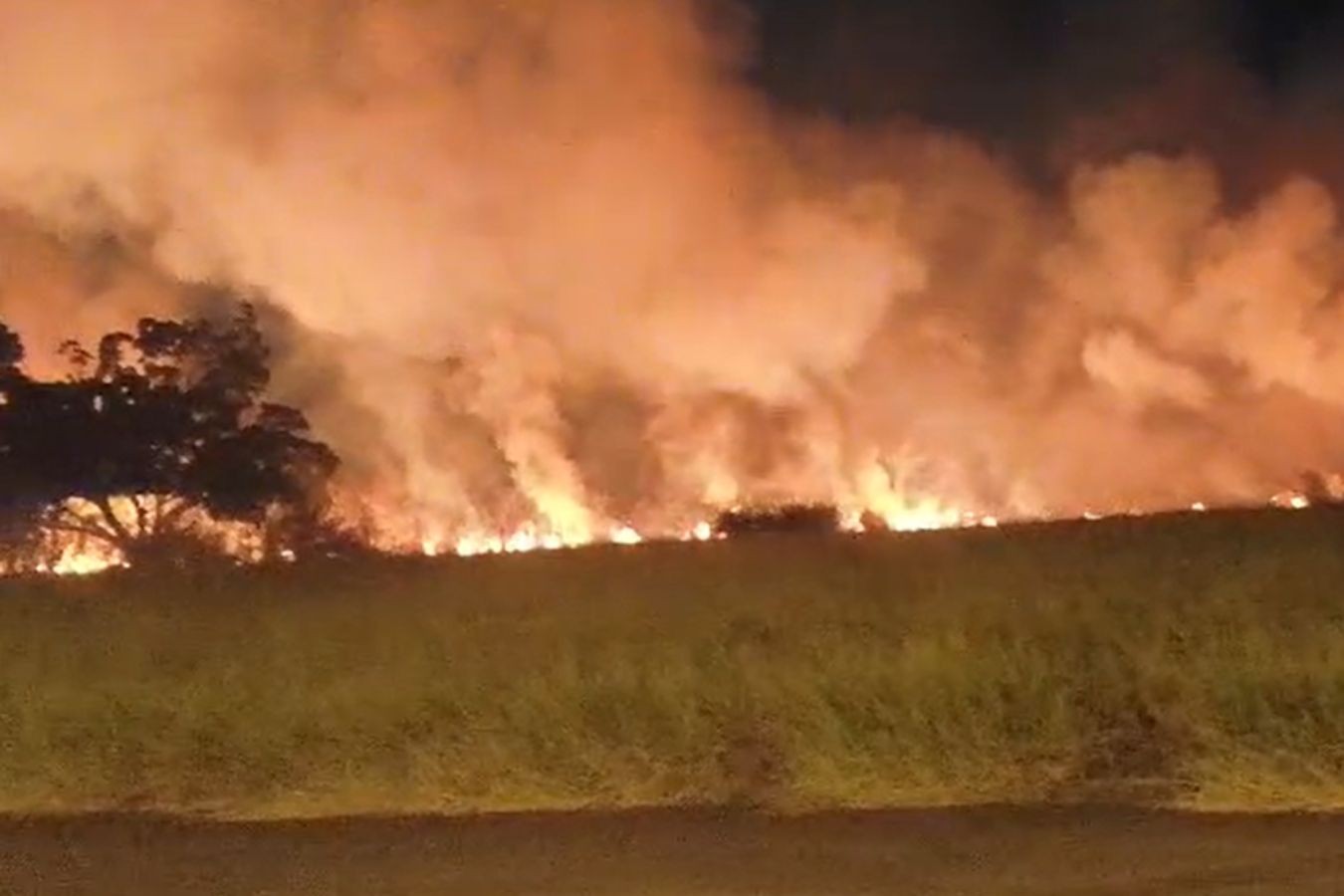 Incêndio atinge área de mata no terreno da antiga Unimep, em Piracicaba