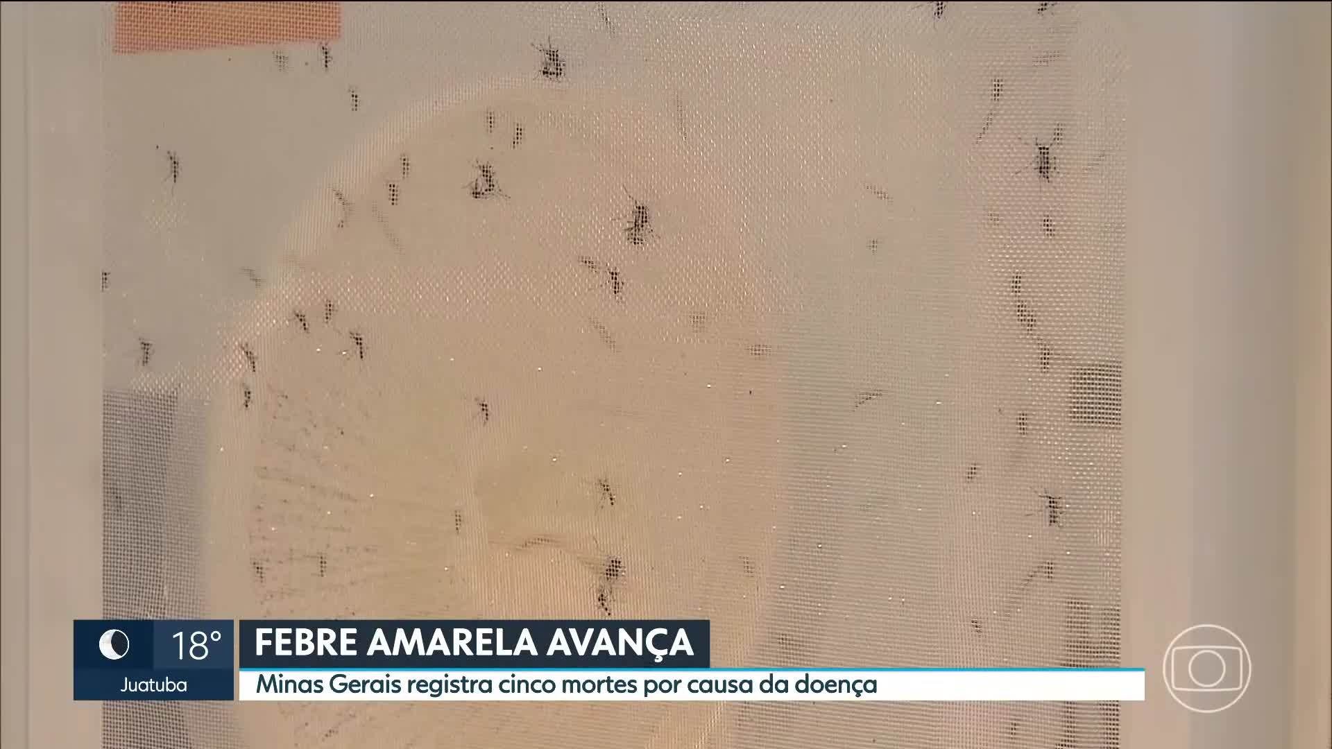 VÍDEOS: MG2 de terça-feira, 8 de julho de 2025