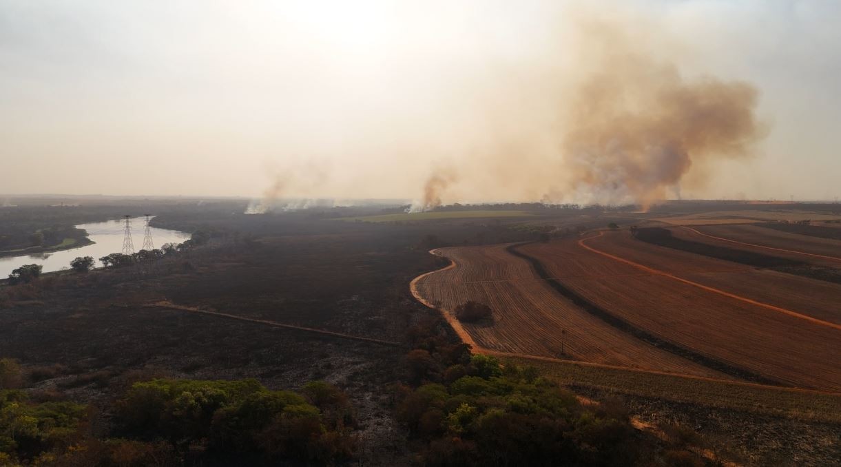 Incêndios em SP: área equivalente a 6,3 mil campos de futebol foi destruída pelo fogo em Morro Agudo, estima Defesa Civil