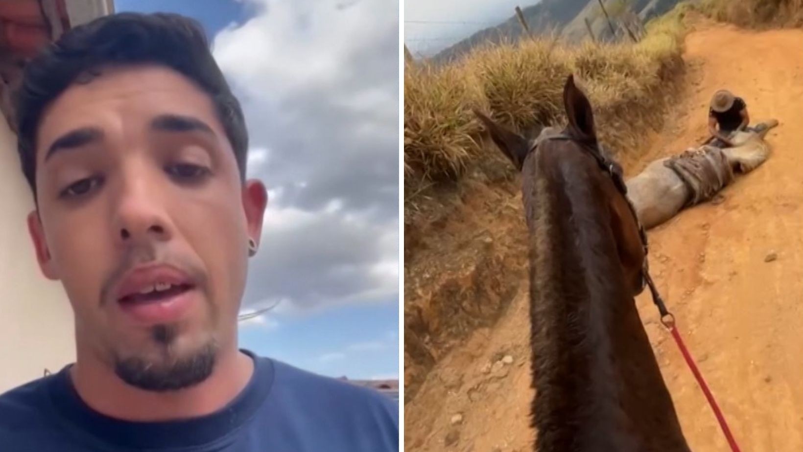 Amigo que filmou mutilação de cavalo com facão alega inocência: ‘Fiquei sem reação’