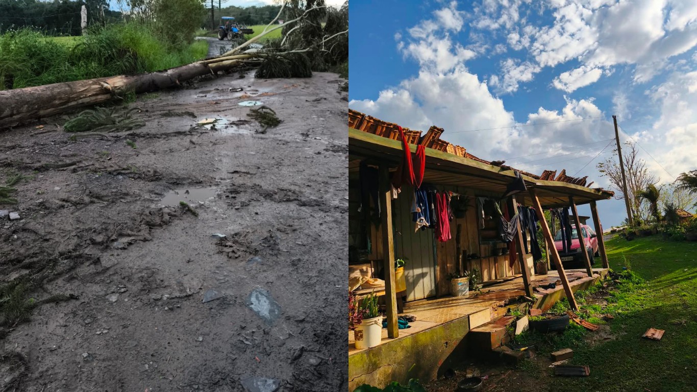 Defesa Civil investiga possível tornado após quedas de árvores e danos em imóveis no Norte de SC