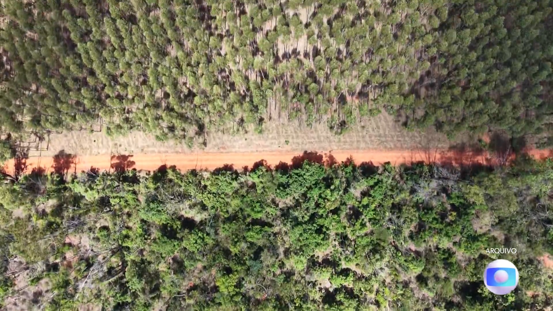 MG lidera no país em áreas de vegetação nativa separadas por estradas, pastos e lavouras