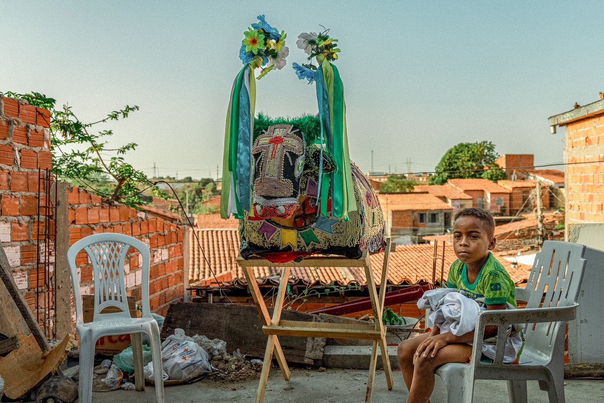 'Boi Romeiro': documentário piauiense é selecionado para festival internacional na Índia