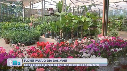 Dia das Mães: regiões esperam crescimento no setor de turismo e floricultura. - Programa: TEM Notícias 2ª Edição – Sorocaba/Jundiaí 