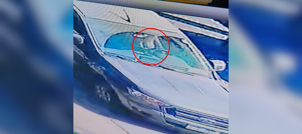 Garota de programa que estava no colo de juiz aposentado em acidente que matou ciclista diz que tentou assumir direção