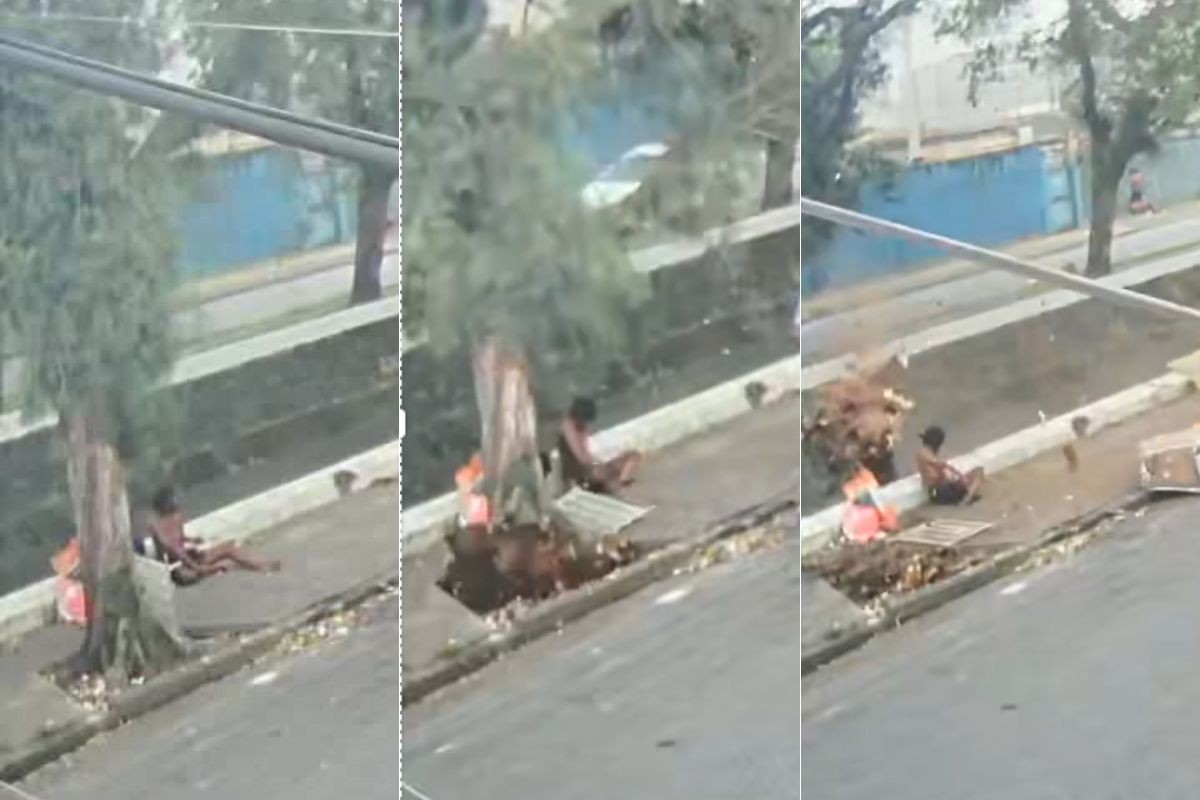 Tragédia em Santos: Vendaval mata homem atingido por árvore