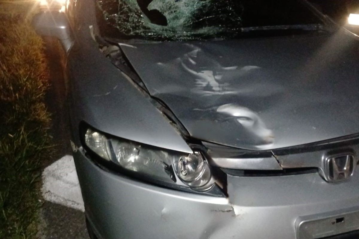 Morador em situação de rua morre após ser atropelado na rodovia Padre Manoel da Nóbrega, SP 