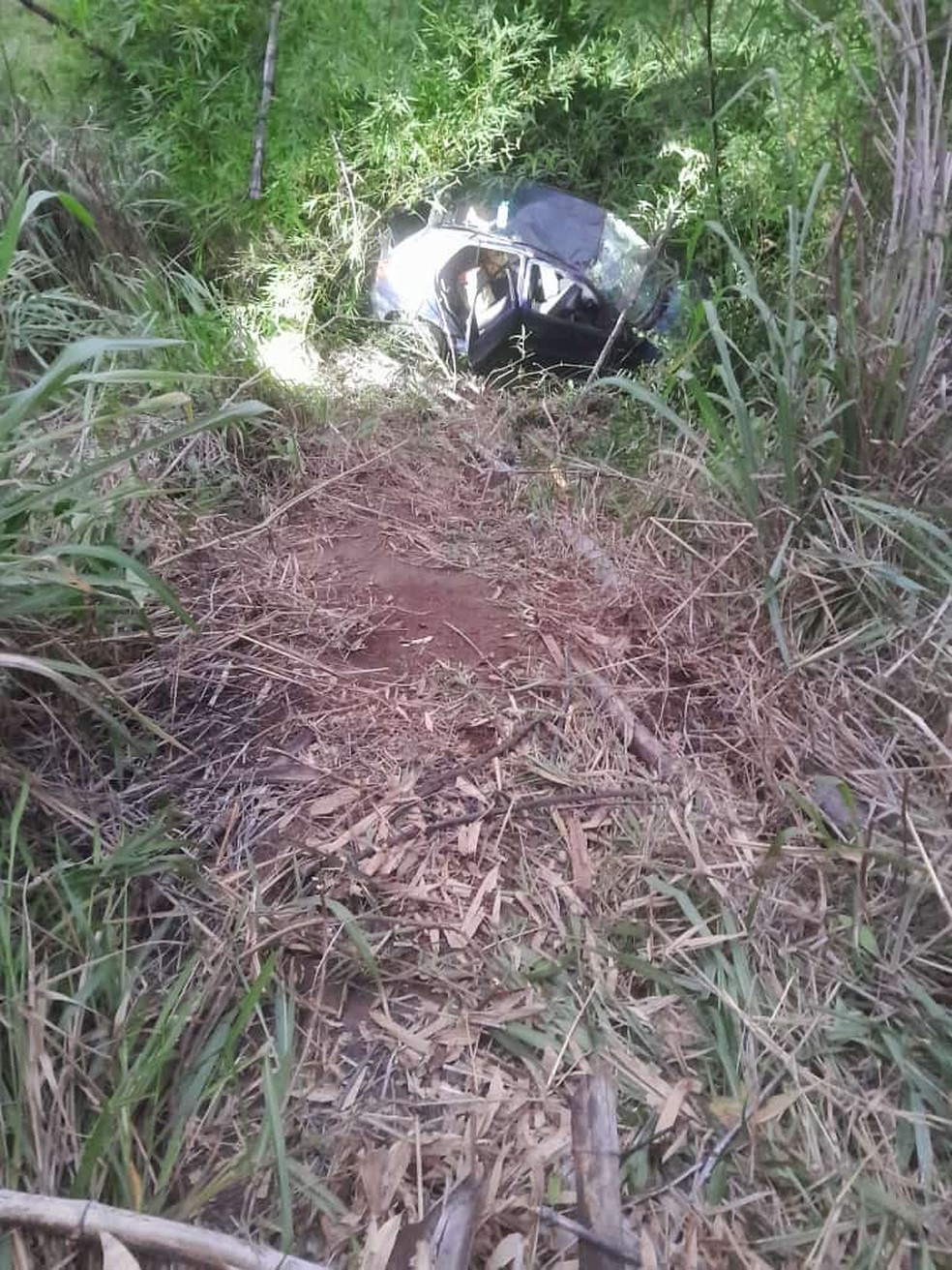 Carro foi parar no meio de mata que fica à margem da rodovia. — Foto: Divulgação/Polícia Militar Rodoviária