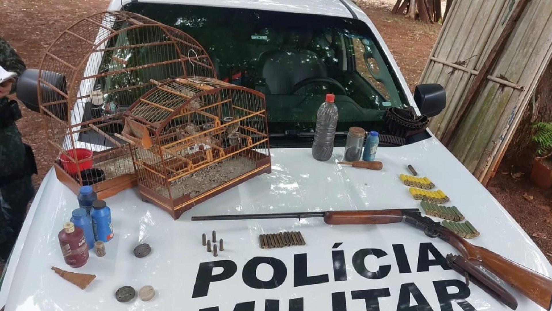 Homem é multado em R$ 2 mil por manter aves silvestres em cativeiro ilegal e acaba preso por posse de arma em Jaú