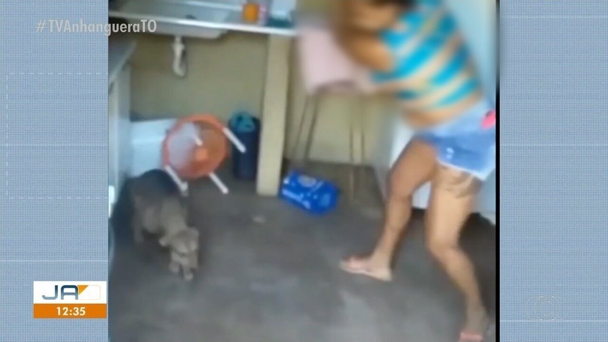 Mulher se irrita e dá vassouradas em cachorra que está prenha