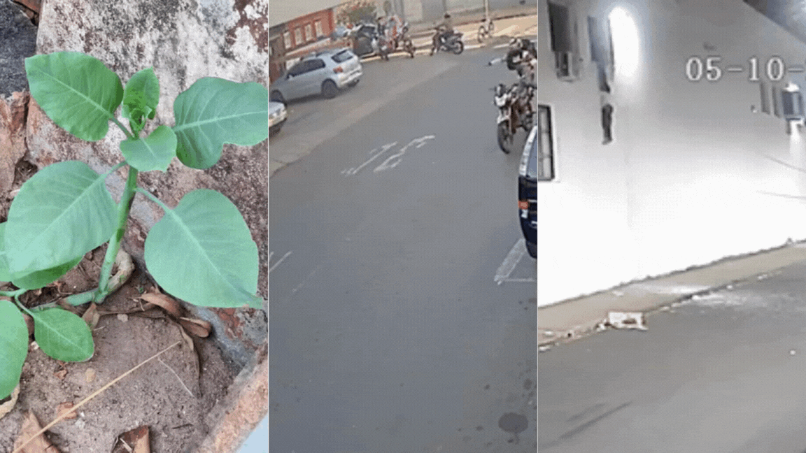 Você Não Tá Convidada pro Meu Bat Mitzvá!