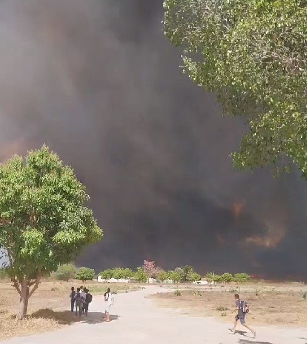 Incêndio destrói 7 mil hectares no Sul do Piauí e ameaça Parque da Serra das Confusões — Foto: Reprodução