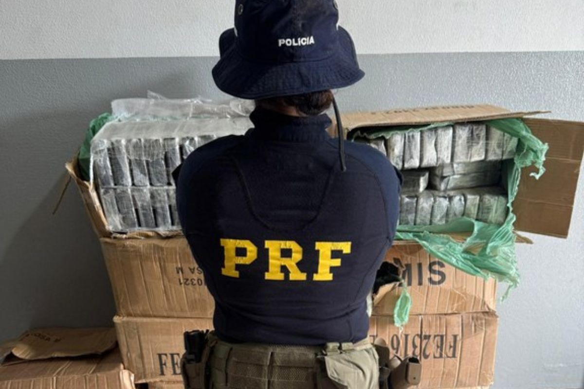PRF apreende mais de 300 kg de cocaína em caminhonete de empresa de energia em MS