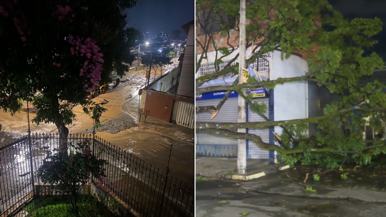 Chuva forte causa queda de árvores e alagamento em BH e região