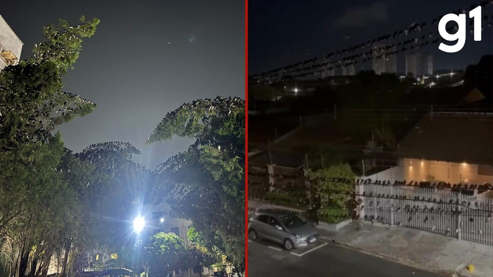 Andorinhas foram flagradas durante a noite em árvores e fios de energia do condomínio em Cuiabá — Foto: Giovanna Baiocco