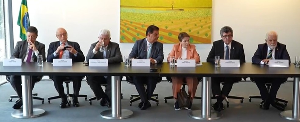 Tarifaço: senadores brasileiros falam com a imprensa durante visita aos EUA — Foto: Reprodução/GloboNews