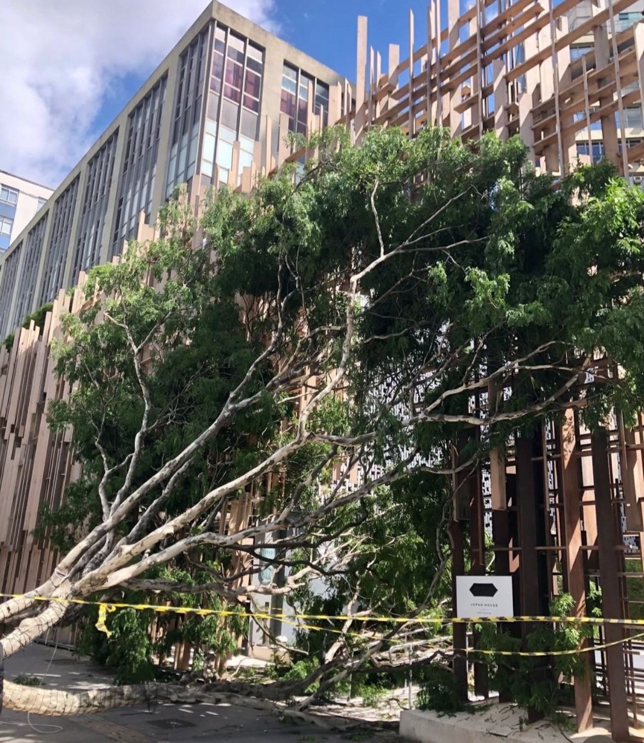 Você Não Tá Convidada pro Meu Bat Mitzvá!