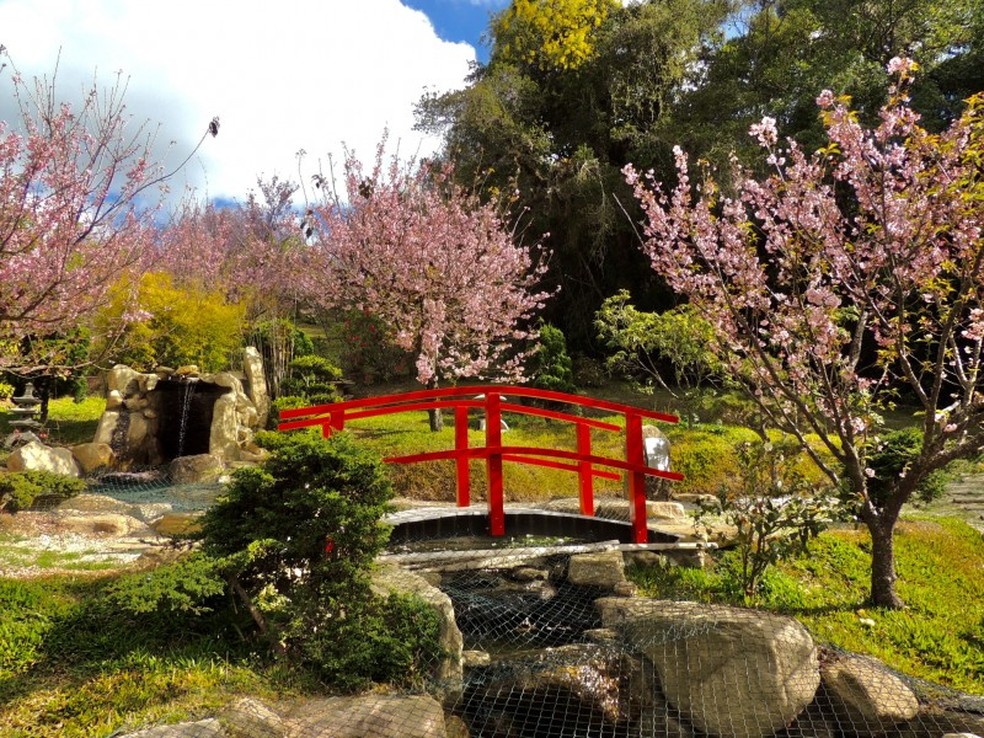 Parque da Cerejeira, em Campos do Jordão — Foto: Divulgação/Parque da Cerejeira