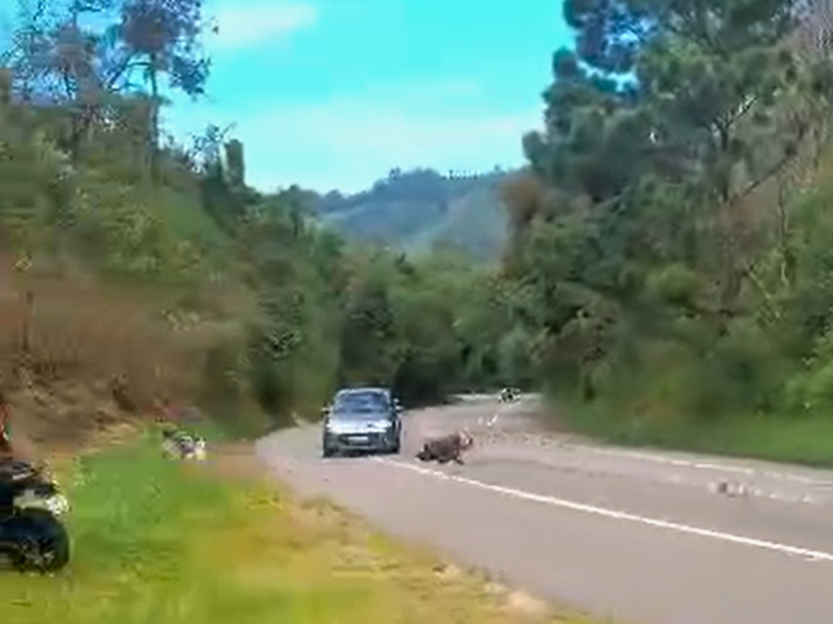 VÍDEO: motociclista morre ao cair, invadir pista contrária e bater em carro em rodovia de SP 