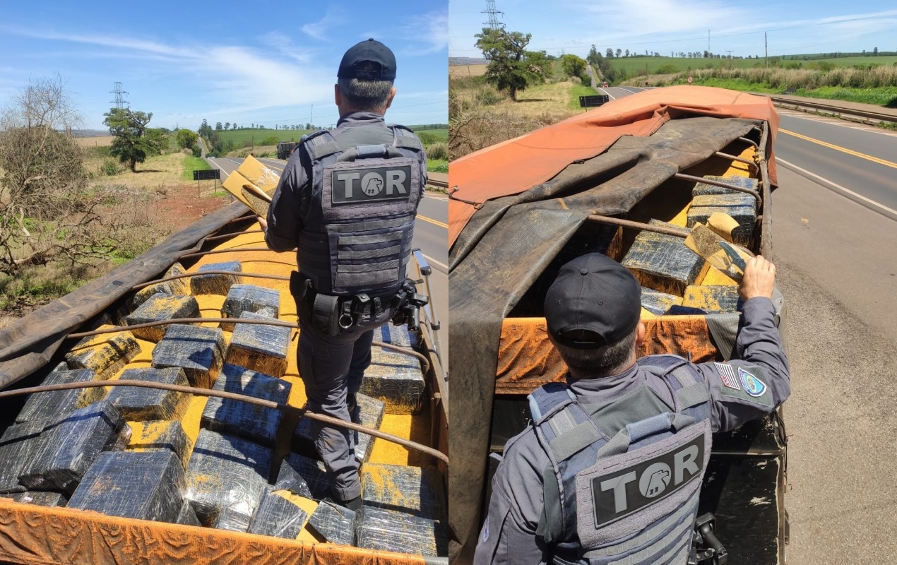 Polícia apreende maconha escondida em carga de farelo de soja em rodovia no interior de SP