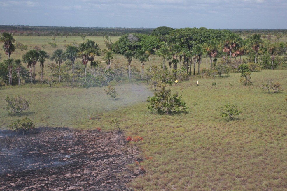 Queima prescrita realizada no Xingu — Foto: PrevFogo/Ibama