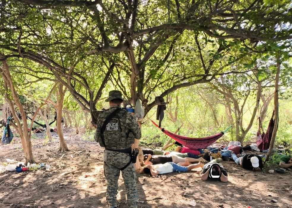 Operação ocorreu no distrito de Riacho Seco, na zona rural de Curaçá, no norte da Bahia — Foto: Divulgação/Inema