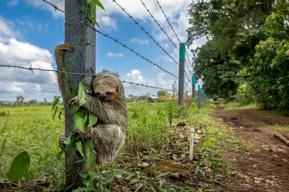 Não há lugar como a nossa casa — Foto: Emmanuel Tardy/BBC