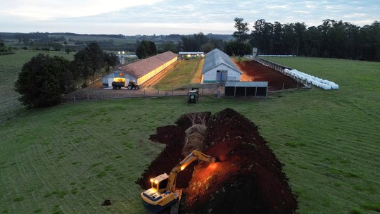 Gripe aviária: vírus que infectaram aves de granja e zoológico no RS têm 99% de similaridade entre si, diz Ministério - Análise genética das amostras foi feita pelo Laboratório Nacional de Defesa Agropecuária. Secretaria Estadual da Agricultura afirma que ainda não dá para dizer que há relação direta entre os dois casos.