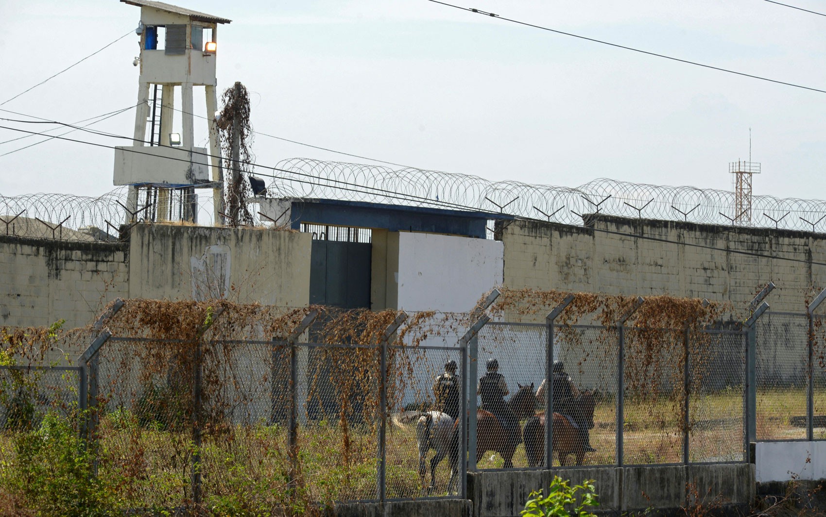 Diretora de maior penitenciária do Equador é morta em ataque armado, em Guayaquil