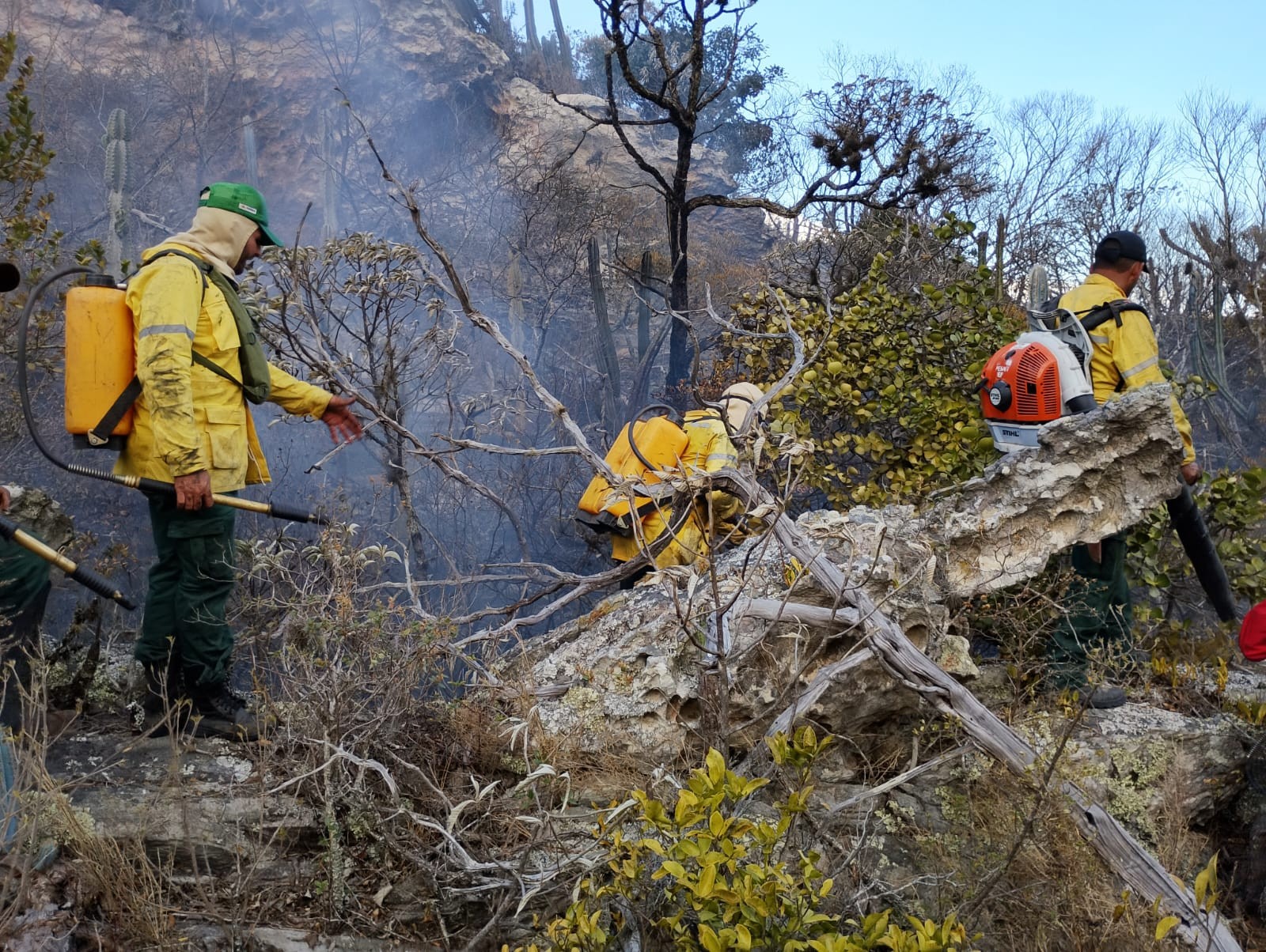 Semas abre 112 Vagas para brigadistas florestais no Pará; veja edital e benefícios 