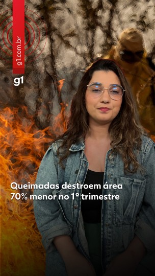Queimadas destroem rea 70% menor no 1 trimestre