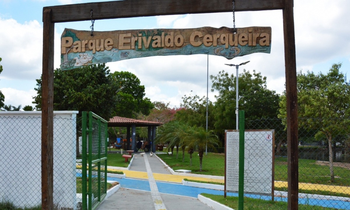 TV Subaé promove piquenique literário aberto ao público em Feira de Santana; saiba mais