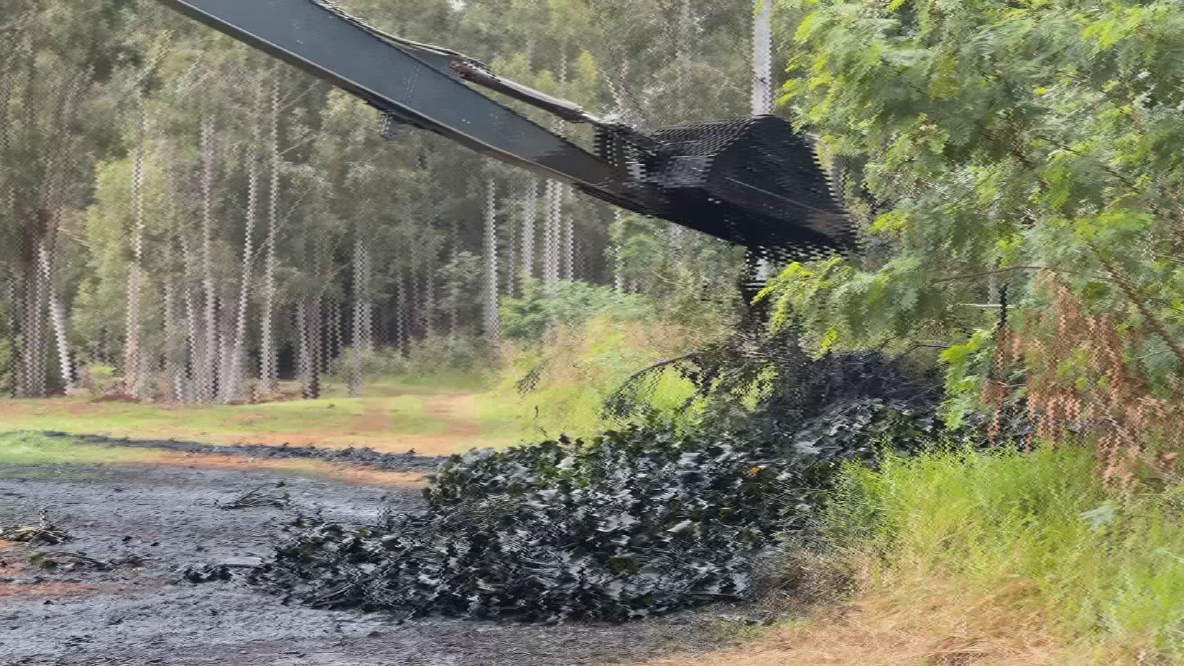 Empresa inicia limpeza da segunda lagoa de estabilização de esgoto que foi tomada por algas em Ourinhos