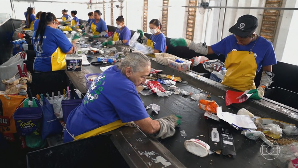 Entenda a importância dos catadores para a preservação do meio ambiente — Foto: Jornal Nacional/ Reprodução